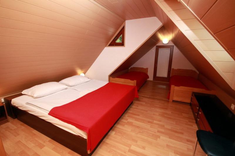 Apartma Pri Bizjaku بوينج المظهر الخارجي الصورة